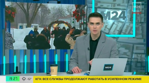 Кремлёвская ель продолжает жить в клюшках, сувенирах и новых саженцах Кремлёвская ель продолжает жить в клюшках, сувенирах и новых саженцах