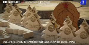 Столетняя Кремлёвская ель получила вторую жизнь Столетняя Кремлёвская ель получила вторую жизнь