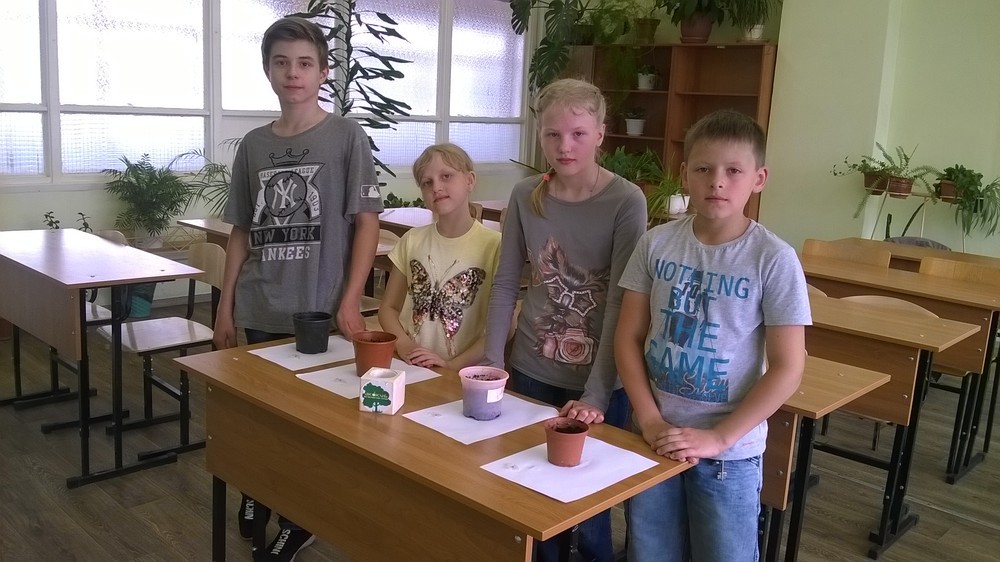 WP_20170626_11_25_02_Pro.jpg